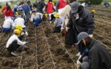 Nissan Shatai:Sagami River Site Inspection, Cleanup, and Planting Activity (1)